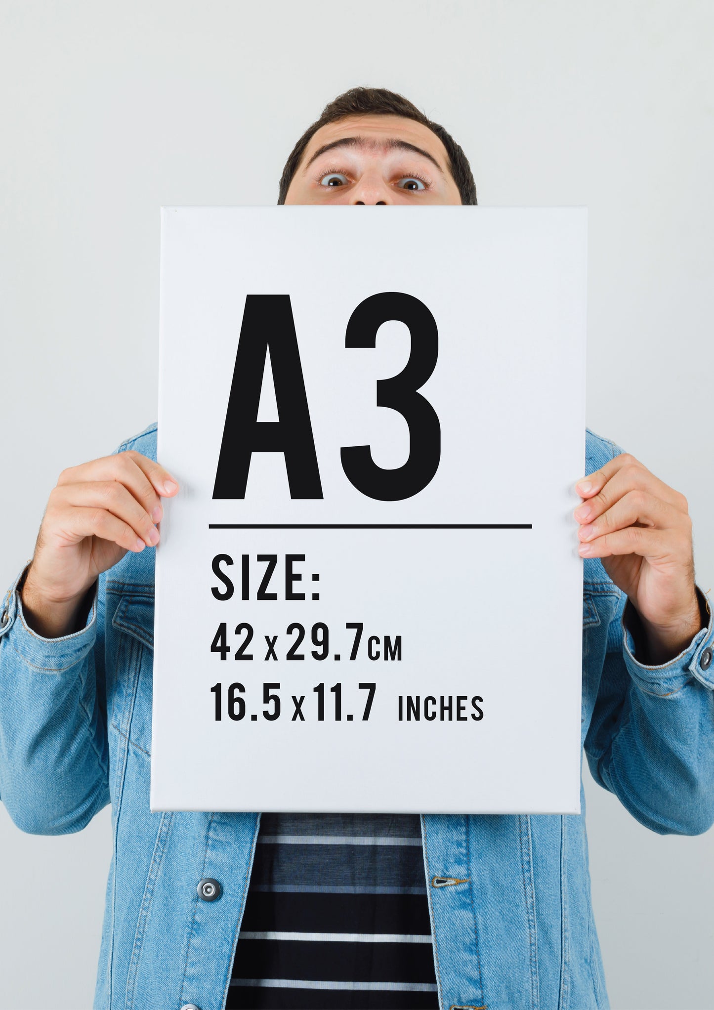 Frieren Art Premium Foil Art Print